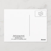 Engels Springer Spaniel Dog Art Briefkaart (Achterkant)