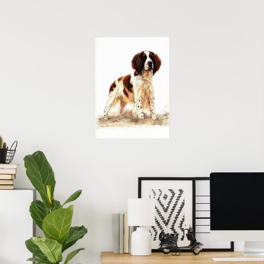 Engels Springer Spaniel Dog Portret Poster Afdrukk (Thuiskantoor)