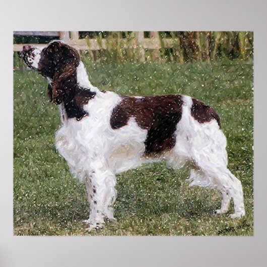 Engels Springer Spaniel Dog Portret Poster Afdrukk (Voorkant)