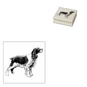Engels Springer Spaniel Hondenras Rubberstempel (Gestempeld)