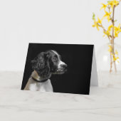 Engels Springer Spaniel Kaart (Gele Bloem)
