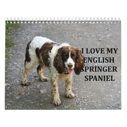 Engels Springer Spaniel Kalender (Hoes)