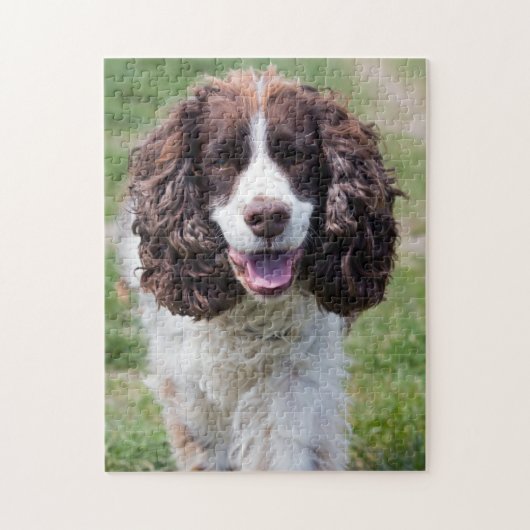 Engels Springer Spaniel Legpuzzel (Verticaal)