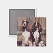 Engels Springer Spaniel Magnet Magneet (Voorkant / Achterkant)