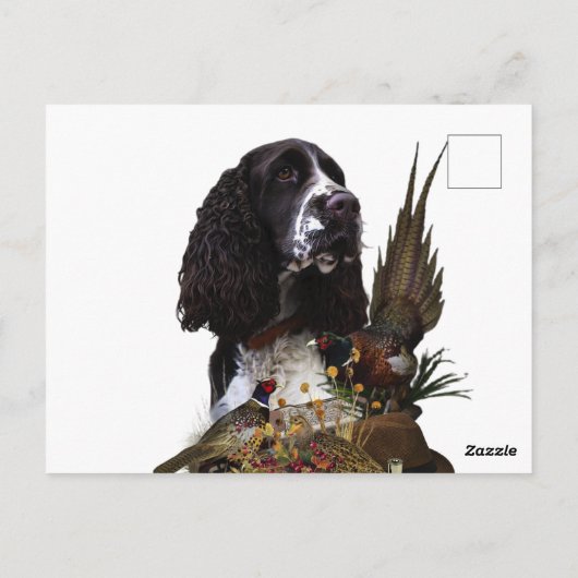 Engels Springer Spaniel met fazant Briefkaart (Achterkant)