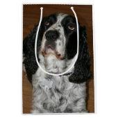 Engels Springer Spaniel Pet Foto Middelgrote Gift Medium Cadeauzakje (Voorkant)