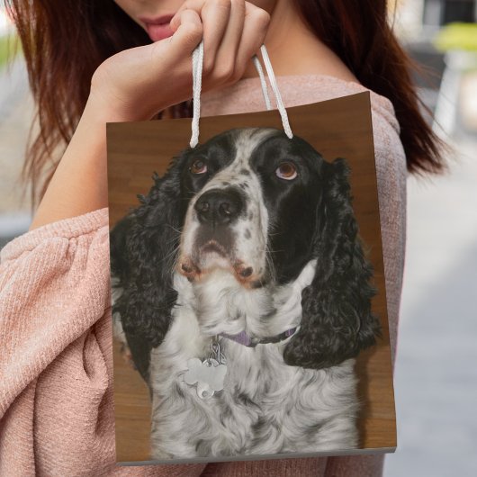 Engels Springer Spaniel Pet Foto Middelgrote Gift Medium Cadeauzakje