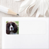 engels springer spaniel.png etiket (Insitu)