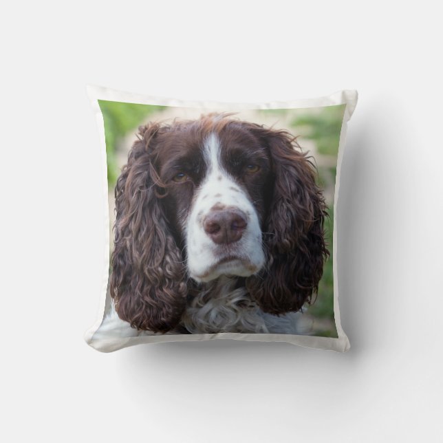 engels springer spaniel.png kussen (Voorkant)
