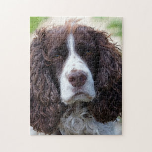 engels springer spaniel.png legpuzzel