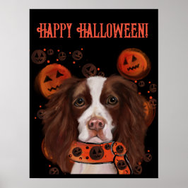 Engels Springer Spaniel Poster
