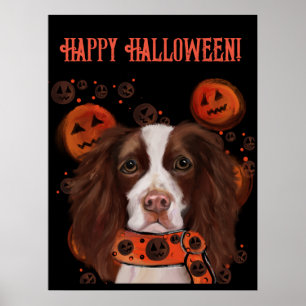 Engels Springer Spaniel Poster