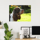 Engels Springer Spaniel Poster (Thuiskantoor)