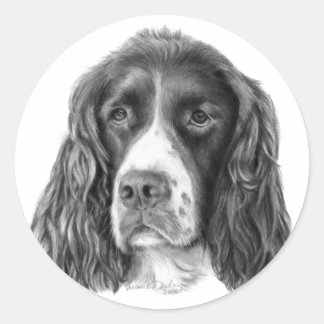 Engels Springer Spaniel Ronde Sticker