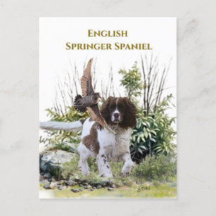 Engels Springer Spaniel Uitnodiging Briefkaart