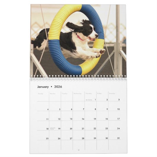 Engels Springer Spaniels 2013 Kalender (Jan 2026)