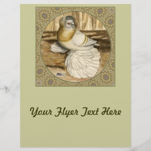 Engels Trumpeter Pigeon Gold Lijst Flyer