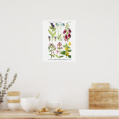 Engels Wildflower Art Prints nr. 3 Botanical Art (Keuken)