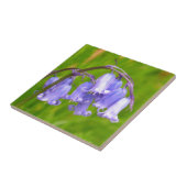 Engelse Bluebell Flower Tile Tegeltje (Zijkant)
