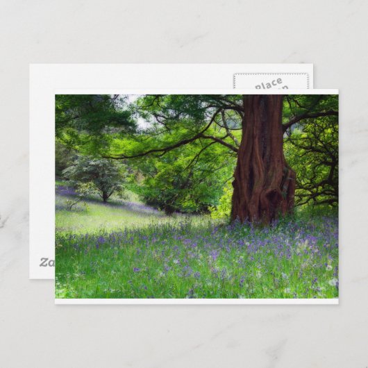 Engelse Bluebells Briefkaart (Voorkant / Achterkant)