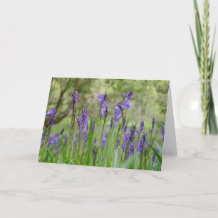 Engelse Bluebells Note Kaart