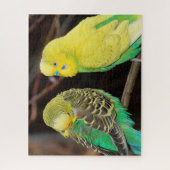 Engelse boedgie Paraket Bird Legpuzzel (Verticaal)