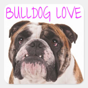 Engelse buldog puppy hond Paarse liefde Vierkante Sticker
