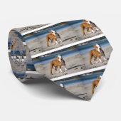 engelse buldog puppy op het strand stropdas (Opgerold)