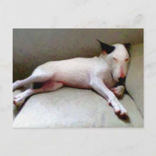 Engelse bull Terrier Briefkaart (Voorkant)