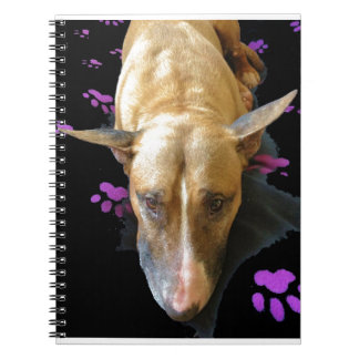 Engelse Bull Terrier-laptop Notitieboek
