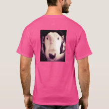 Engelse Bull Terrier met hoofdtelefoon