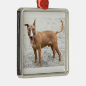 Engelse Bull Terrier Ornament (Rechts)
