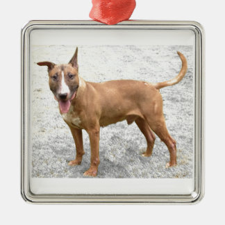 Engelse Bull Terrier Ornament