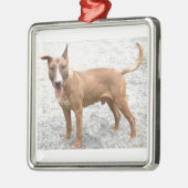 Engelse Bull Terrier Ornament (Links)