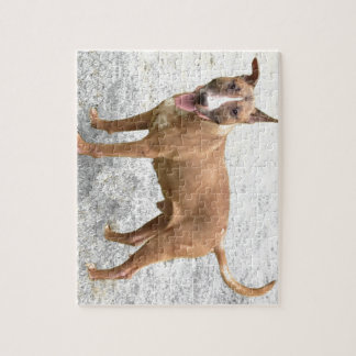 Engelse Bull Terrier Puzzle Legpuzzel