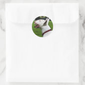 Engelse bull Terrier Ronde Sticker (Tas)
