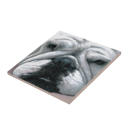 Engelse Bulldog 118 Tegeltje (Zijkant)