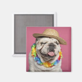 Engelse Bulldog (18 maanden oud) met stro Magneet (Voorkant / Achterkant)