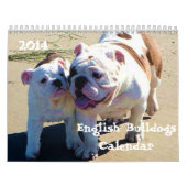 Engelse Bulldog 2014 Custom Printed Calendar Kalender (Hoes)