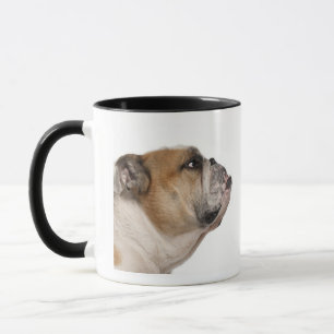 Engelse Bulldog (6 jaar oud) Mok