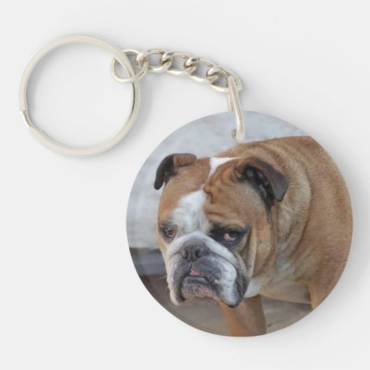 Engelse Bulldog Acrylic Key Ring / Dog Keyring Sleutelhanger (Voorkant)