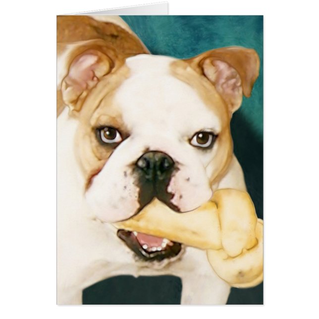 Engelse Bulldog "Adagio" (Voorkant)