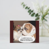 Engelse Bulldog Attentie! Briefkaart (Staand voorkant)