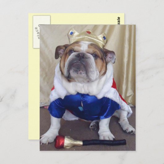 Engelse Bulldog Briefkaarten (Voorkant / Achterkant)