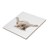 Engelse Bulldog Ceramic Tile Tegeltje (Zijkant)