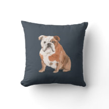 Engelse Bulldog & Dog Botten