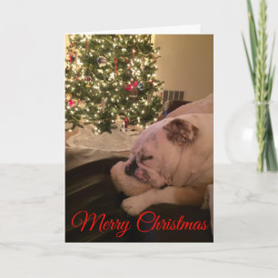 Engelse Bulldog Dreaming-kerstkaart Feestdagen Kaart