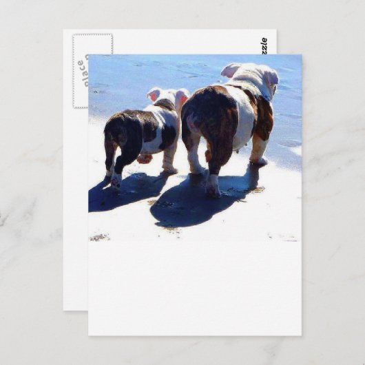 Engelse Bulldog en Puppy Briefkaart (Voorkant / Achterkant)