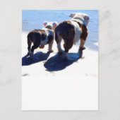 Engelse Bulldog en Puppy Briefkaart (Voorkant)