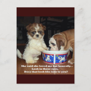 Engelse Bulldog en Shih Tzu Puppy Briefkaart